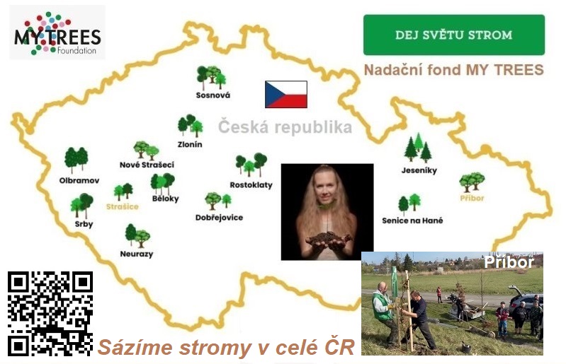 MY TREES Foundation – Nadační fond MY TREES – Dej světu strom – Sázíme stromy v celé České republice
