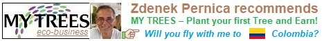 My Tress – Your great global eco-business!
