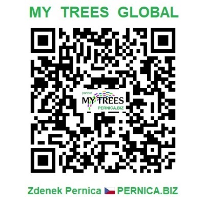 Проект My Trees Global – QR-код / Регистрация и вход / Zdenek Pernica / PERNICA.BIZ / Чехия / Европа