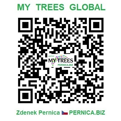 Proyecto My Trees Global – Código QR / Registro e inicio de sesión / Zdenek Pernica / PERNICA.BIZ / Republica checa / Chequia / Europa