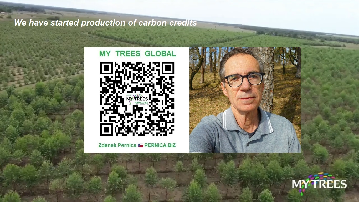 QR code to join the My Trees project and Zdenek Pernica / PERNICA.BIZ - Team leader My Trees Global. We have started production of carbon credits.