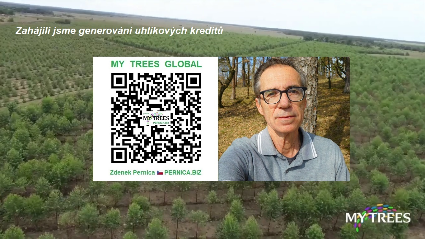 QR kód pro zapojení do projektu My Trees a Zdenek Pernica / PERNICA.BIZ - Team leader My Trees Global. Zahájili jsme výrobu uhlíkových kreditů.