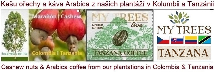 Eucalyptus trees, cashew nuts and Arabica coffee from MY TREES Holding SE plantations in Colombia and Tanzania - Eukalyptové stromy, kešu ořechy a káva Arabica z plantáží společnosti MY TREES Holding SE v Kolumbii a Tanzánii.