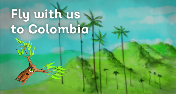 Fly in Colombia