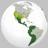 My Trees Global Hispanoamérica