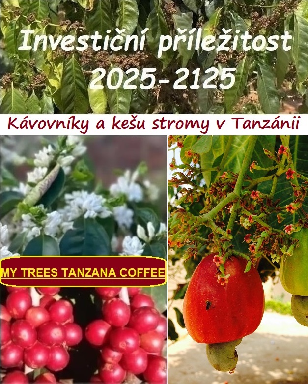 MY TREES - Investice roku 2025 - nákup kávovníků v Tanzanii.