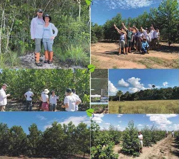 Češi a Slováci v projektu MY TRESS, spoluvlastníci farmy El Morichal v kolumbijské Vichadě a akcionáři české společnosti Degirans SE na první společné prohlídce našich pozemků s eukalypty v roce 2019.