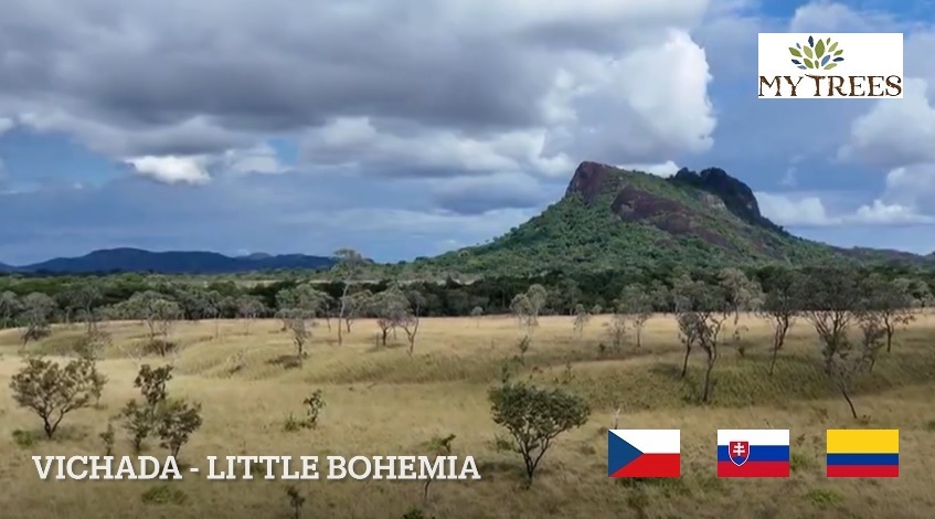 Československá vesnice Little Bohemia v kolumbijské Vichadě