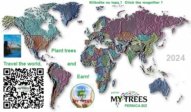 PERNICA.BIZ - partner MY TREES Project: Travel the World, Plant trees and Earn!