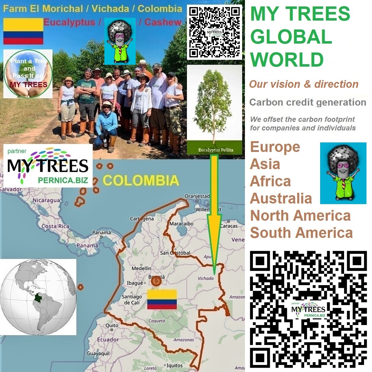 MY TREES Global project and Eco-Business. Farm El Morichal, Vichada, Colombia. We plant this fast-growing trees - Eucalyptus, Acaccia, Cashew. Zdenek Pernica/PERNICA.BIZ is partner of the My Trees project. Join us!