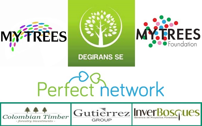 My Trees / Degirans se / My Trees Foundation / Perfect Network / Colombian Timber / Gutierrez Group / InverBosques