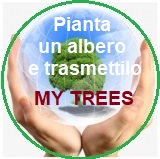 My Trees Global project – Progetto My Trees Global - Pianta un albero e trasmettilo / Registrazione e Accesso