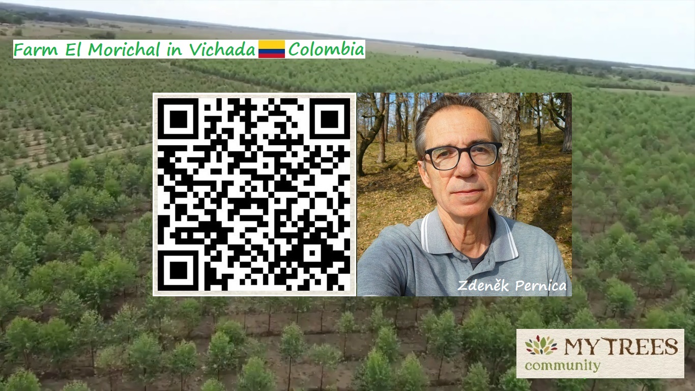 Vítejte v komunitě MY TREES! - Welcome to My Trees community!